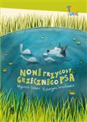 Polska książka : Nowe przyg... - Wojciech Cesarz, Katarzyna Terechowicz