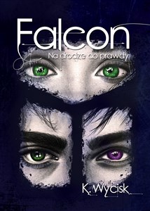 Obrazek Falcon Na drodze do prawdy Tom 3