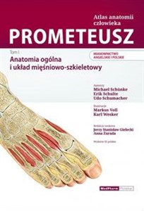 Bild von Prometeusz Atlas Anatomii Człowieka. Tom 1
