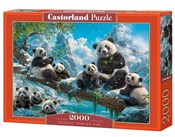 Zobacz : Puzzle 200...