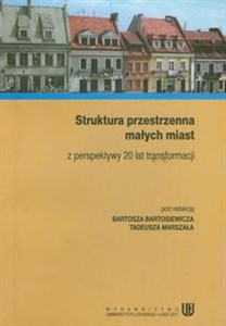 Obrazek Struktura przestrzenna małych miast z perspektywy 20 lat transformacji