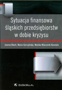 Bild von Sytuacja finansowa śląskich przedsiębiorstw w dobie kryzysu