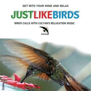 Obrazek Like The Birds CD