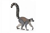 Zobacz : Lemur