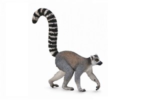 Obrazek Lemur