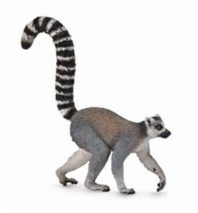 Bild von Lemur