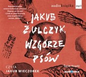 Książka : [Audiobook... - Jakub Żulczyk