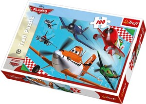 Bild von Puzzle Samoloty 100
