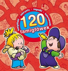 Bild von 120 łamigłówek