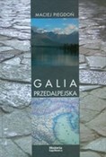 Polska książka : Galia Prze... - Maciej Piegdoń