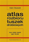 Atlas rozb... - Adam Olszewski -  fremdsprachige bücher polnisch 