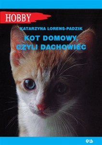 Bild von Kot domowy czyli dachowiec