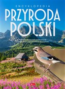Polnische buch : Encykloped... - null null