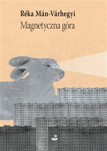 Obrazek Magnetyczna góra