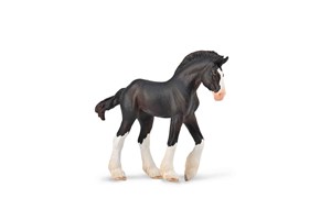 Bild von Źrebię Clydesdale maści Black