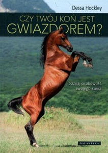 Bild von Czy twój koń jest gwiazdorem? poznaj osobowość swojego konia