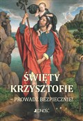 Święty Krz... - Hubert Wołącewicz -  fremdsprachige bücher polnisch 