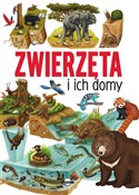 Zwierzęta ... - Ilaria Barsotti -  polnische Bücher