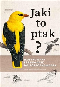 Obrazek Jaki to ptak? Ilustrowany przewodnik do rozpoznawania