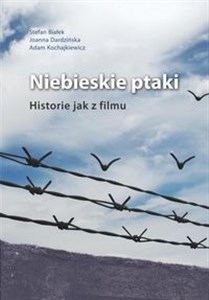 Obrazek Niebieskie ptaki Historie jak z filmu