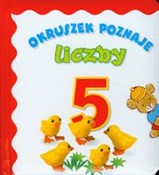 Polska książka : Okruszek p... - Anna Wiśniewska