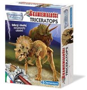 Bild von Skamieniałości Triceratops