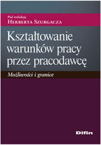 Obrazek Kształtowanie warunków pracy przez pracodawcę Możliwości i granice