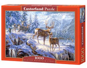 Obrazek Puzzle Winter mountain light 1000