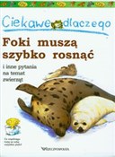 Polska książka : Ciekawe dl... - Anita Ganeri, Jenny Wood