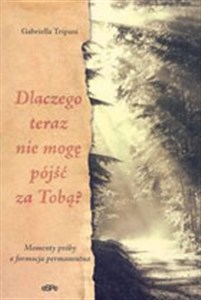 Obrazek Dlaczego teraz nie mogę pójsć za Tobą? Momenty próby a formacja permanentna