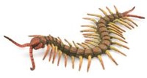Obrazek Centipede