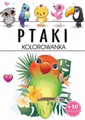 Ptaki Kolo... - Opracowanie Zbiorowe - Ksiegarnia w niemczech