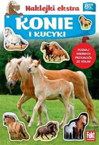 Bild von Konie i kucyki