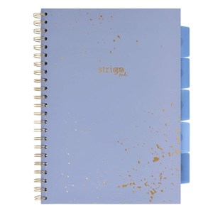 Bild von Kołozeszyt Pads A4/100K kratka Marmur niebieski