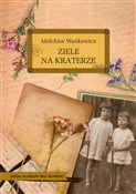 Ziele na k... - Melchior Wańkowicz -  polnische Bücher