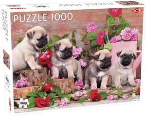 Obrazek Puzzle Puppy Pugs 1000