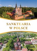 Polska książka : Sanktuaria... - Robert Szybiński, Teofil Krzyżanowski
