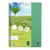 Zeige Details für Kołozeszyt A4/60K linia zielony Kołozeszyt... -  Książka z wysyłką do Niemiec