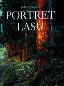 Bild von Portret lasu