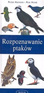 Obrazek Rozpoznawanie ptaków