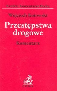 Obrazek Przestępstwa drogowe komentarz