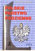 Książka : Polskie Pa... - Aleksander Szumański