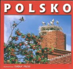 Obrazek Polsko Polska  wersja czeska
