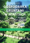 Gospodarka... - Luchter Bogusław -  polnische Bücher