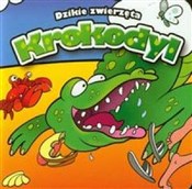 Krokodyl d... - Krzysztof Kiełbasiński - buch auf polnisch 