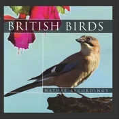 Książka : British Bi... - Opracowanie Zbiorowe