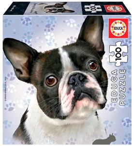 Obrazek Puzzle 100 Psy - Buldog francuski G3