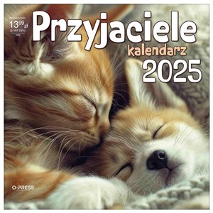 Obrazek Kalendarz 2025 Ścienny 330x330 Przyjaciele