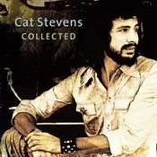 Cat Steven... -  Książka z wysyłką do Niemiec 