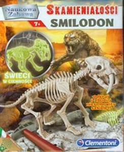 Bild von Skamieniałości Smilodon